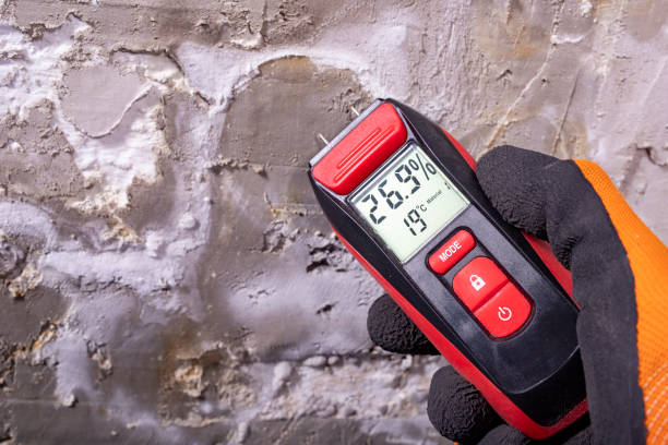 Trusted Stowell, TX Mold Removal Experts