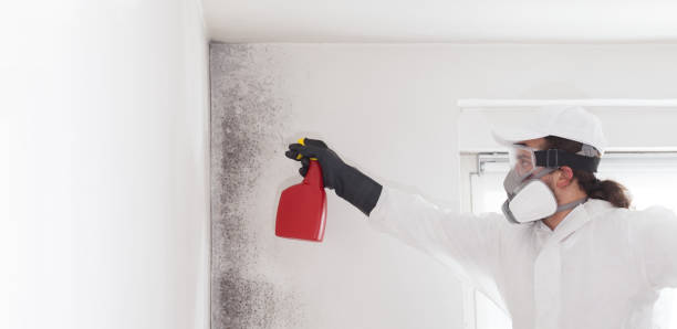 Best Mold Cleaning Services  in Stowell, TX