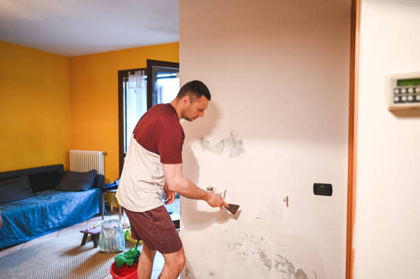 Best Same-Day Mold Removal  in Stowell, TX